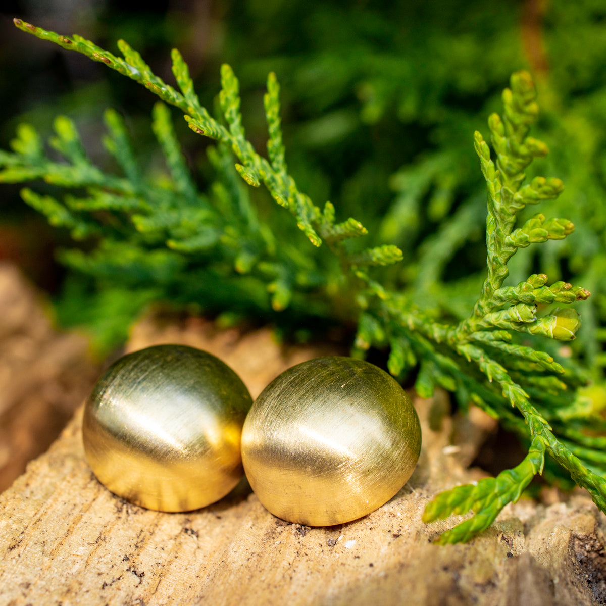 Satin Gold Dome Shape Clip on Earrings