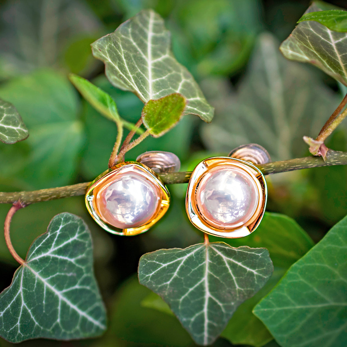 White Pearl Clip on Earrings