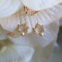 Sparking Maple Leaf Clip on Earrings